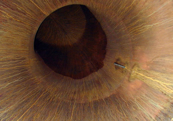 abc defrg thysu ooip jkifbtg fff