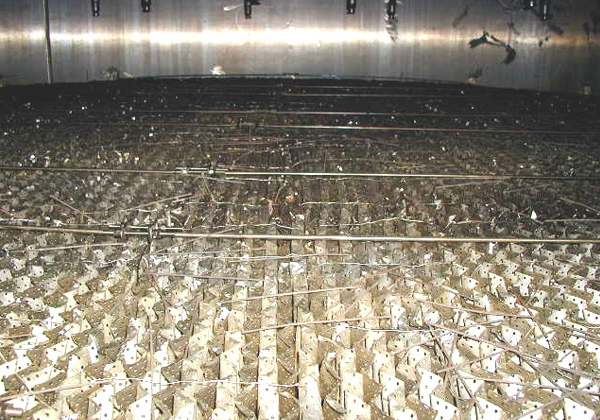 abc defrg thysu ooip jkifbtg fff